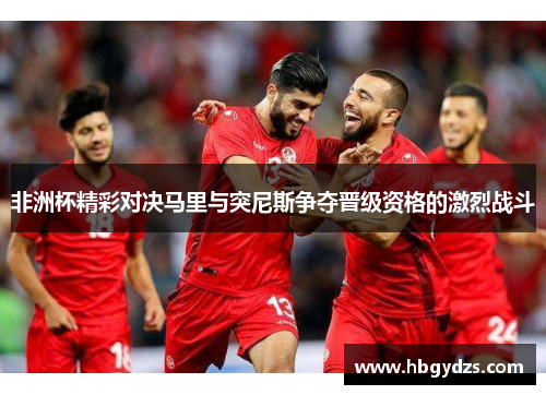 非洲杯精彩对决马里与突尼斯争夺晋级资格的激烈战斗