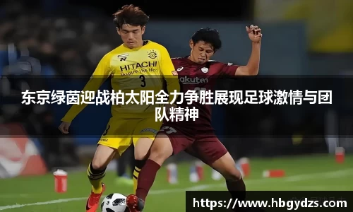 博鱼官方网站