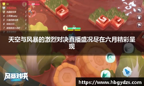 天空与风暴的激烈对决直播盛况尽在六月精彩呈现