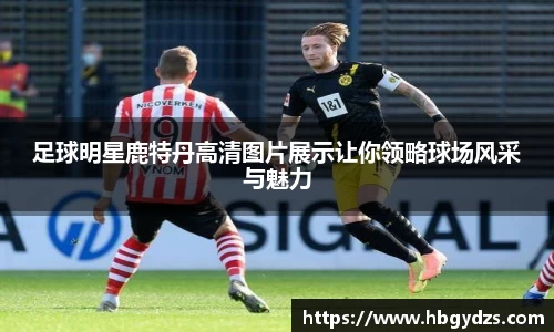 足球明星鹿特丹高清图片展示让你领略球场风采与魅力