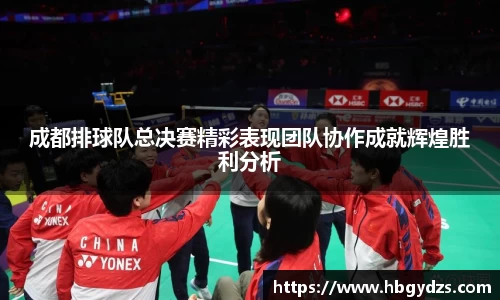 成都排球队总决赛精彩表现团队协作成就辉煌胜利分析